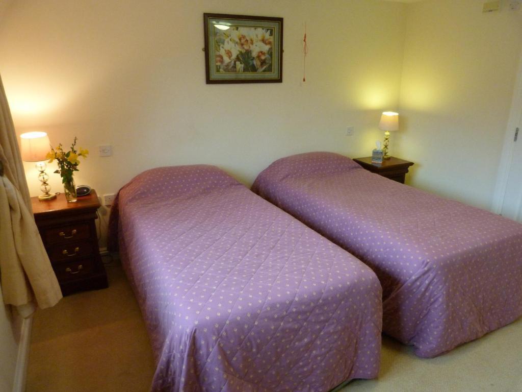 Cameley Lodge - Self Catering Temple Cloud Zimmer foto